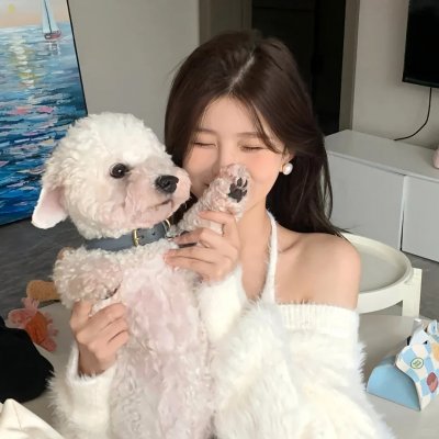 第八任长官